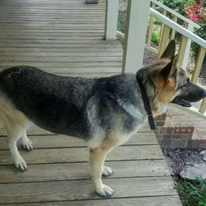 Meet your Posher, Joan